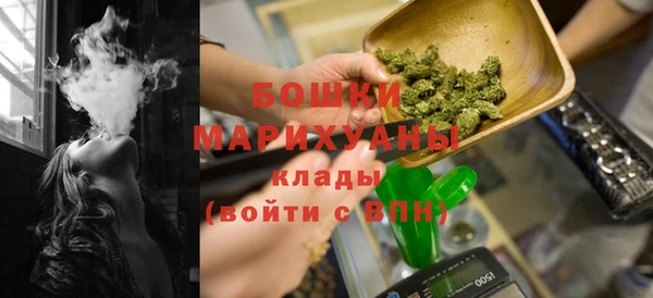 дмт Богданович