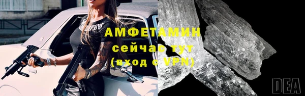 шишки Бородино