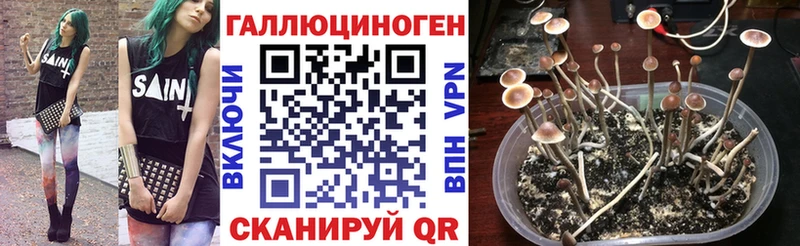 Псилоцибиновые грибы мухоморы  купить  цена  мега зеркало  Вичуга 